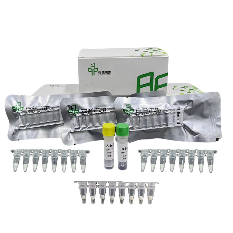 48 Ensaios / Caixa Kit de Amplificação Isotérmica de DNA Com Reagentes Buffers Enzimas